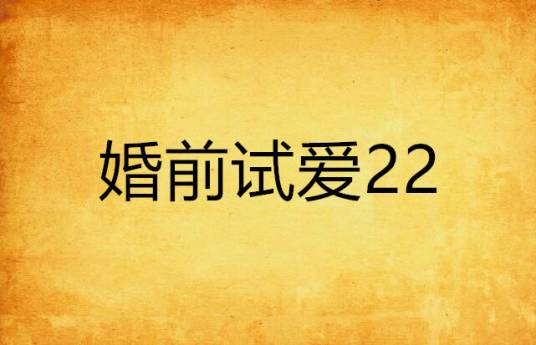 婚前试爱22