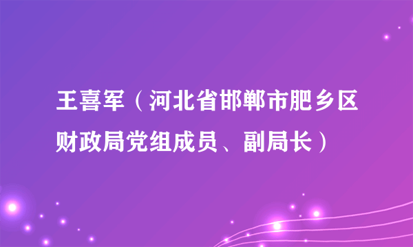 王喜军（河北省邯郸市肥乡区财政局党组成员、副局长）