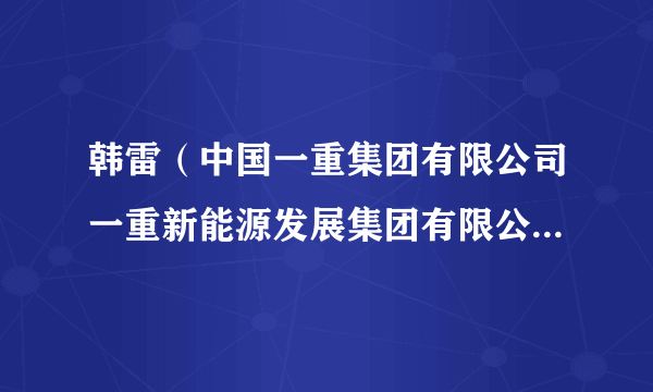 韩雷（中国一重集团有限公司一重新能源发展集团有限公司营销副总监）