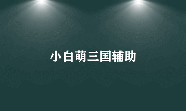 小白萌三国辅助