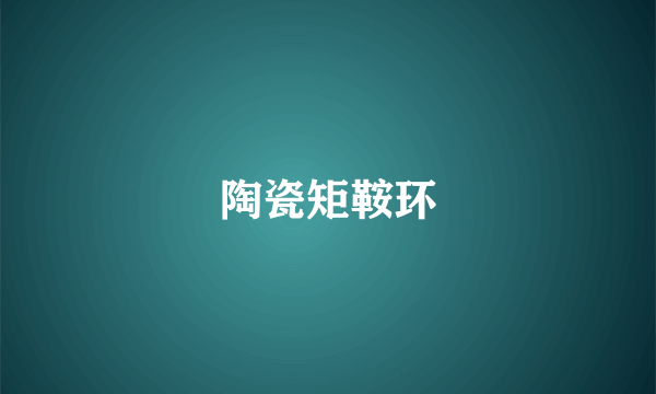 陶瓷矩鞍环