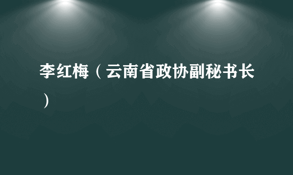 李红梅（云南省政协副秘书长）