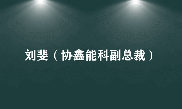 刘斐（协鑫能科副总裁）
