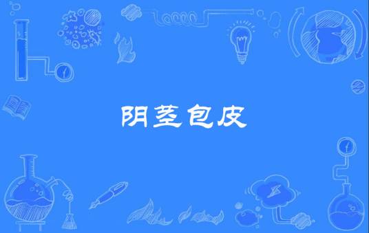 阴茎包皮