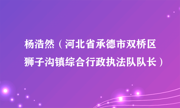 杨浩然（河北省承德市双桥区狮子沟镇综合行政执法队队长）
