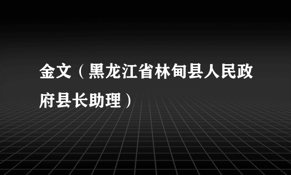 金文（黑龙江省林甸县人民政府县长助理）
