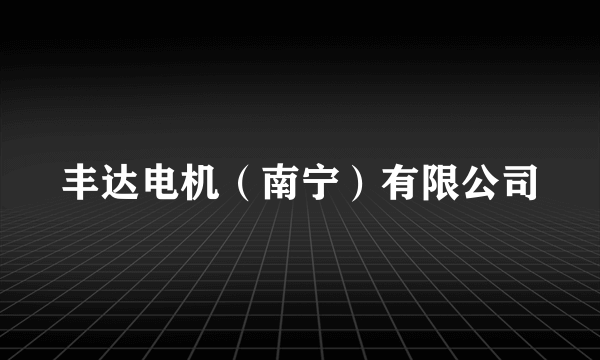 丰达电机（南宁）有限公司