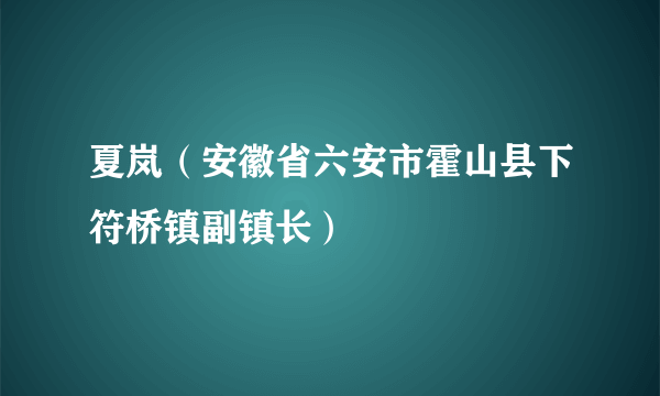 夏岚（安徽省六安市霍山县下符桥镇副镇长）