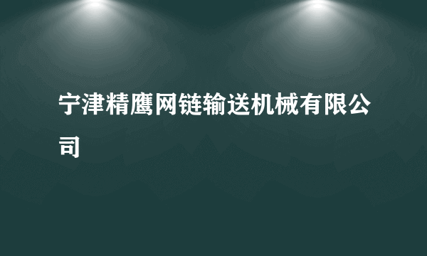宁津精鹰网链输送机械有限公司