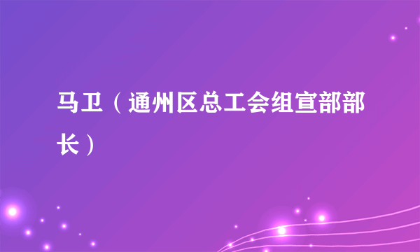 马卫（通州区总工会组宣部部长）