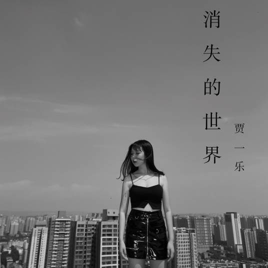 消失的世界（贾一乐演唱歌曲）