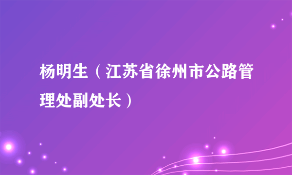 杨明生（江苏省徐州市公路管理处副处长）