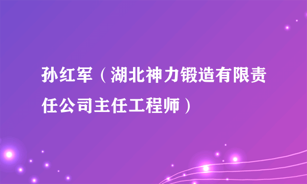 孙红军（湖北神力锻造有限责任公司主任工程师）
