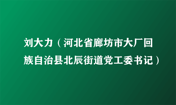 刘大力（河北省廊坊市大厂回族自治县北辰街道党工委书记）