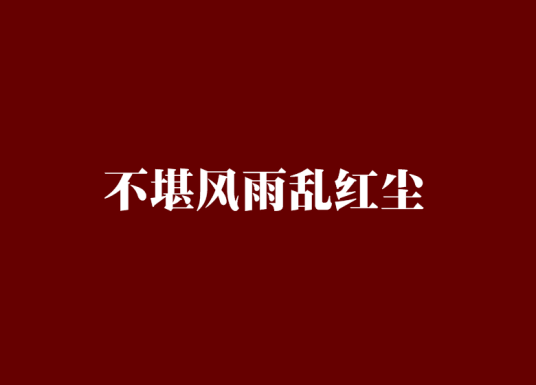 不堪风雨乱红尘（网络小说）