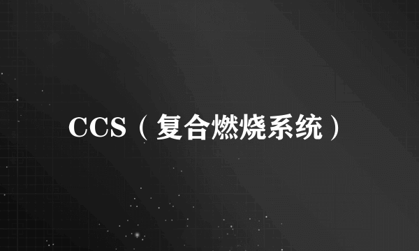 CCS（复合燃烧系统）