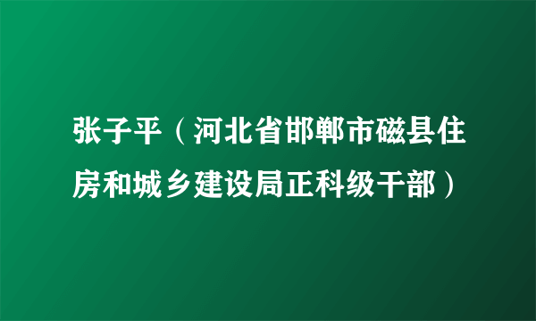 张子平（河北省邯郸市磁县住房和城乡建设局正科级干部）