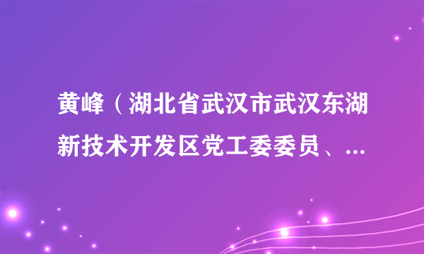 黄峰（湖北省武汉市武汉东湖新技术开发区党工委委员、管委会副主任）