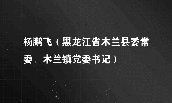 杨鹏飞（黑龙江省木兰县委常委、木兰镇党委书记）