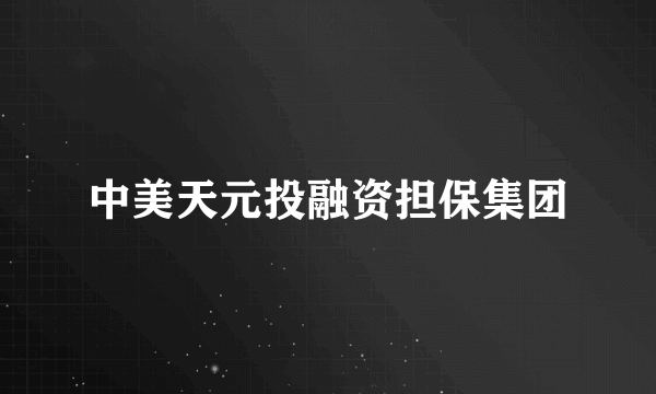 中美天元投融资担保集团