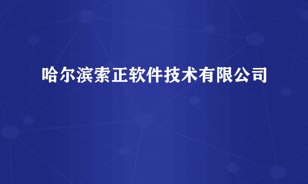 哈尔滨索正软件技术有限公司