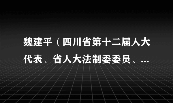 魏建平（四川省第十二届人大代表、省人大法制委委员、四川天闻律师事务所主任）