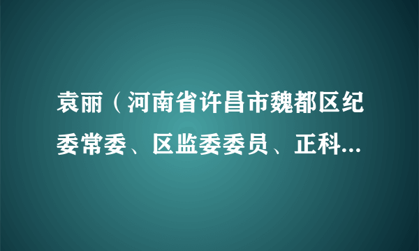 袁丽（河南省许昌市魏都区纪委常委、区监委委员、正科级检查员）