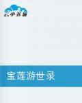 宝莲游世录