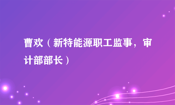 曹欢（新特能源职工监事，审计部部长）