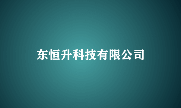 东恒升科技有限公司