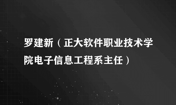 罗建新（正大软件职业技术学院电子信息工程系主任）