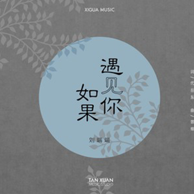 如果遇见你（刘端端演唱的歌曲）
