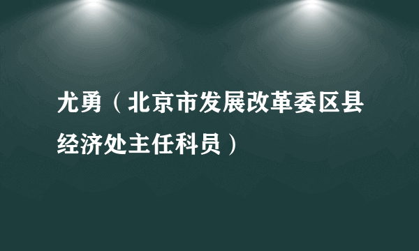 尤勇（北京市发展改革委区县经济处主任科员）