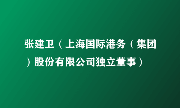 张建卫（上海国际港务（集团）股份有限公司独立董事）