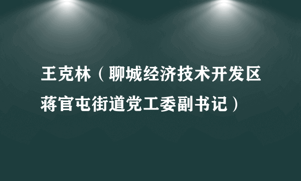 王克林（聊城经济技术开发区蒋官屯街道党工委副书记）