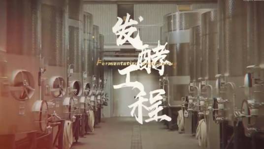 发酵工程（河南大学所开设专业课程）
