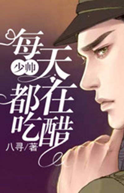 少帅每天都在吃醋（小说）