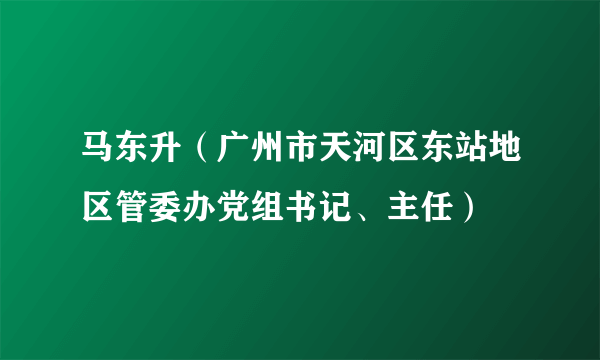 马东升（广州市天河区东站地区管委办党组书记、主任）