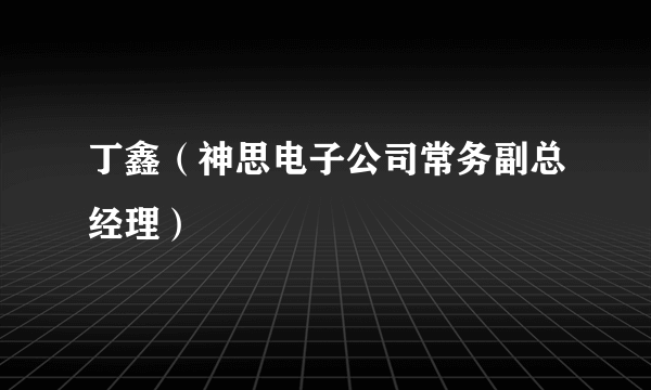 丁鑫（神思电子公司常务副总经理）