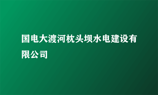 国电大渡河枕头坝水电建设有限公司