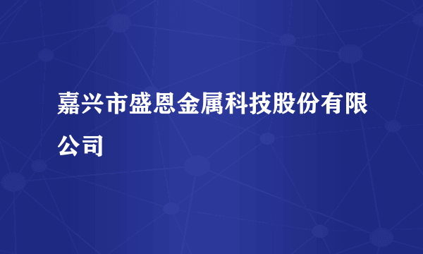 嘉兴市盛恩金属科技股份有限公司