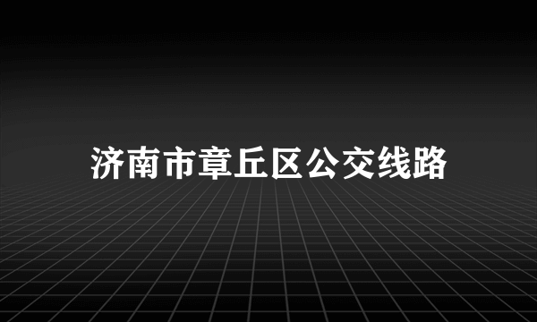 济南市章丘区公交线路