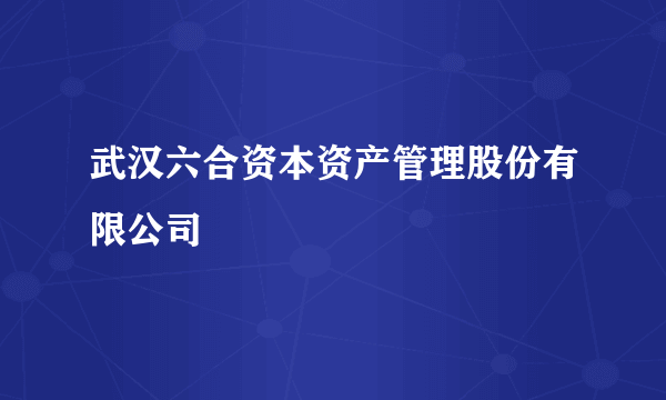 武汉六合资本资产管理股份有限公司