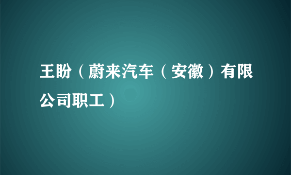 王盼（蔚来汽车（安徽）有限公司职工）