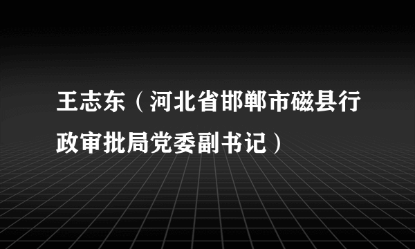 王志东（河北省邯郸市磁县行政审批局党委副书记）