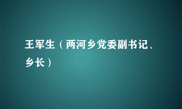 王军生（两河乡党委副书记、乡长）