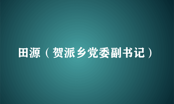 田源（贺派乡党委副书记）