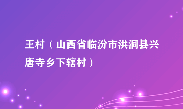 王村（山西省临汾市洪洞县兴唐寺乡下辖村）