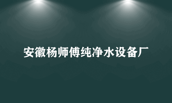 安徽杨师傅纯净水设备厂