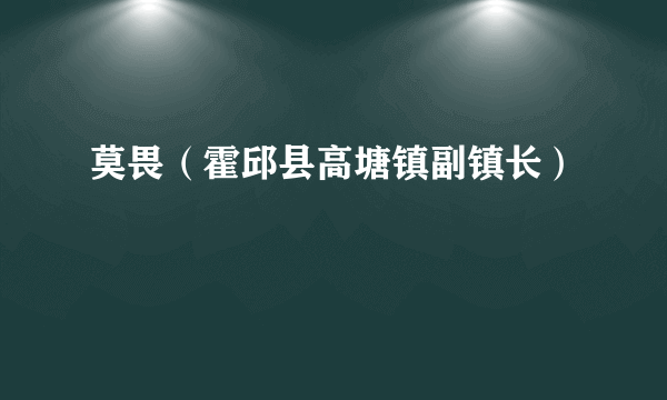莫畏（霍邱县高塘镇副镇长）
